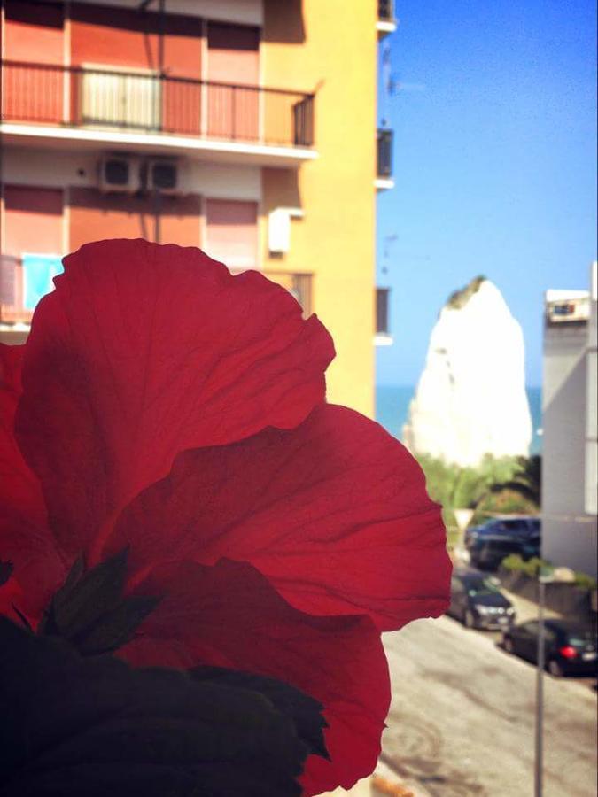 B&B Pizzomunno Vieste Bagian luar foto